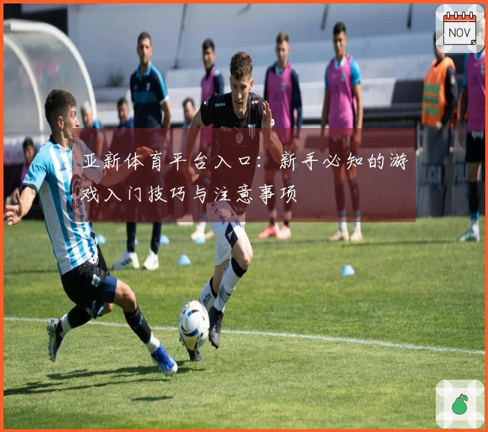 亚新体育平台入口：新手必知的游戏入门技巧与注意事项