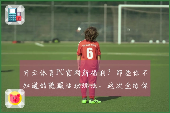 开云体育PC官网新福利？那些你不知道的隐藏活动玩法，这次全给你挖出来了！