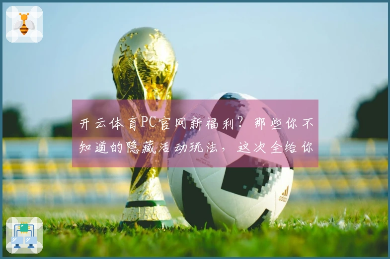 开云体育PC官网新福利？那些你不知道的隐藏活动玩法，这次全给你挖出来了！